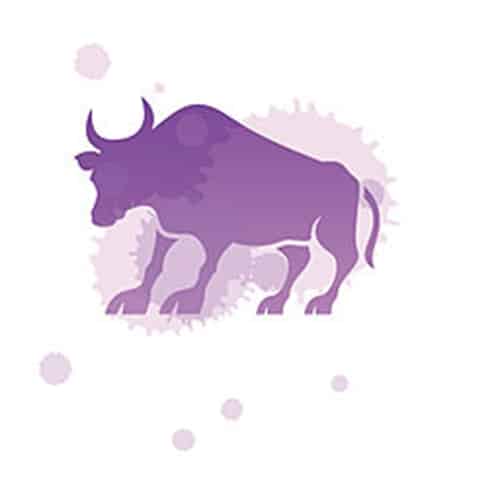 caratteristiche dell'uomo del Toro