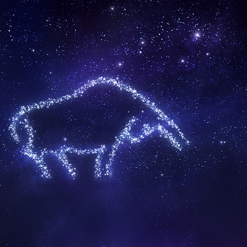 segno compatibile con il Toro